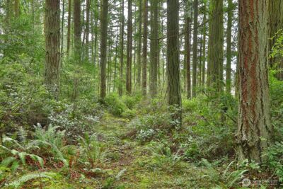 0 XXX Mutiny Bay Road , Freeland, WA 98249 - Photo 5