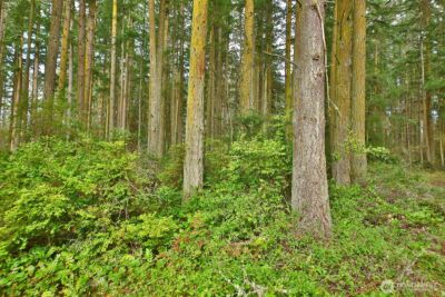 0 XXX Mutiny Bay Road , Freeland, WA 98249 - Photo 7