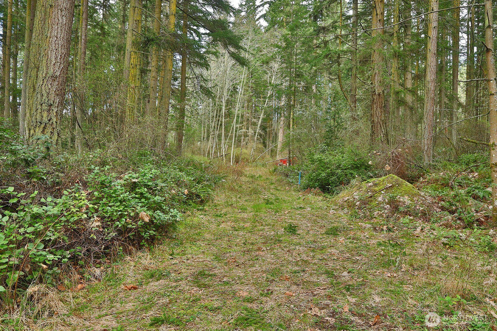 0 XXX Mutiny Bay Road , Freeland, WA 98249