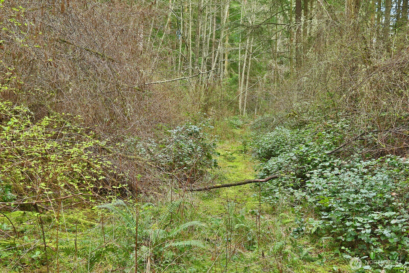 0 XXX Mutiny Bay Road , Freeland, WA 98249