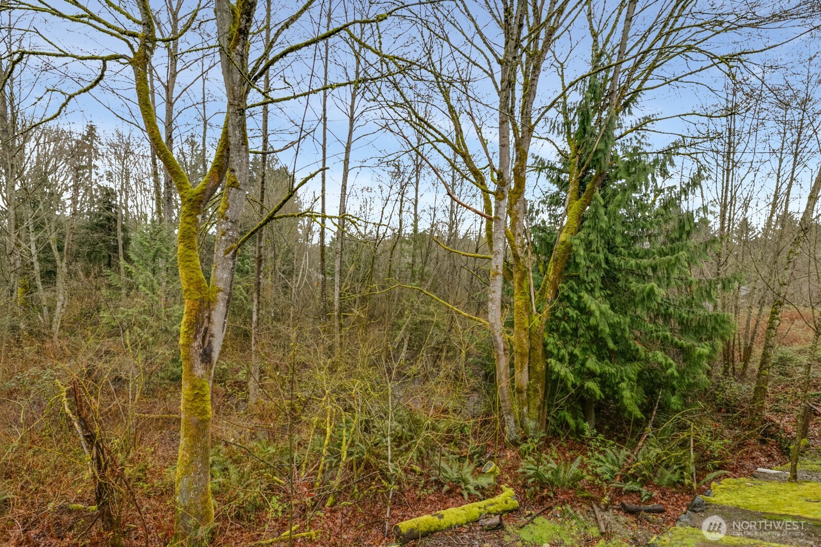 18930 Bothell-Everett Highway #T-101, Bothell, WA 98012