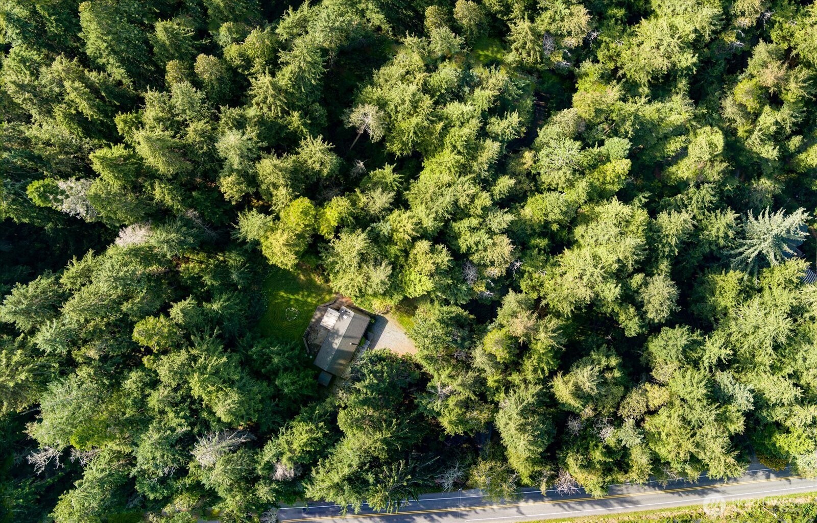 3100 Sea Eagle Lane , Greenbank, WA 98253