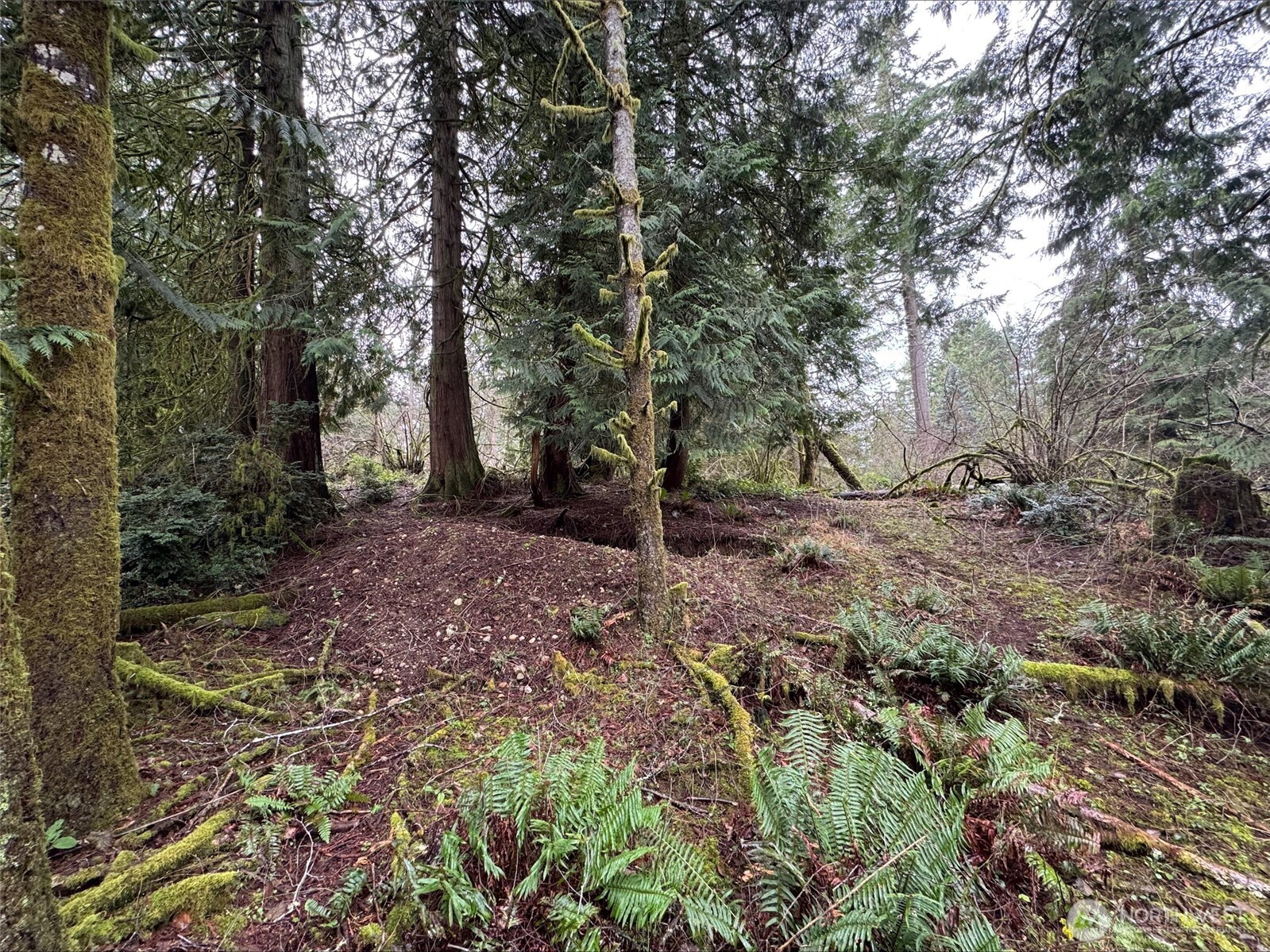 10110 Selma Circle , Anderson Island, WA 98303