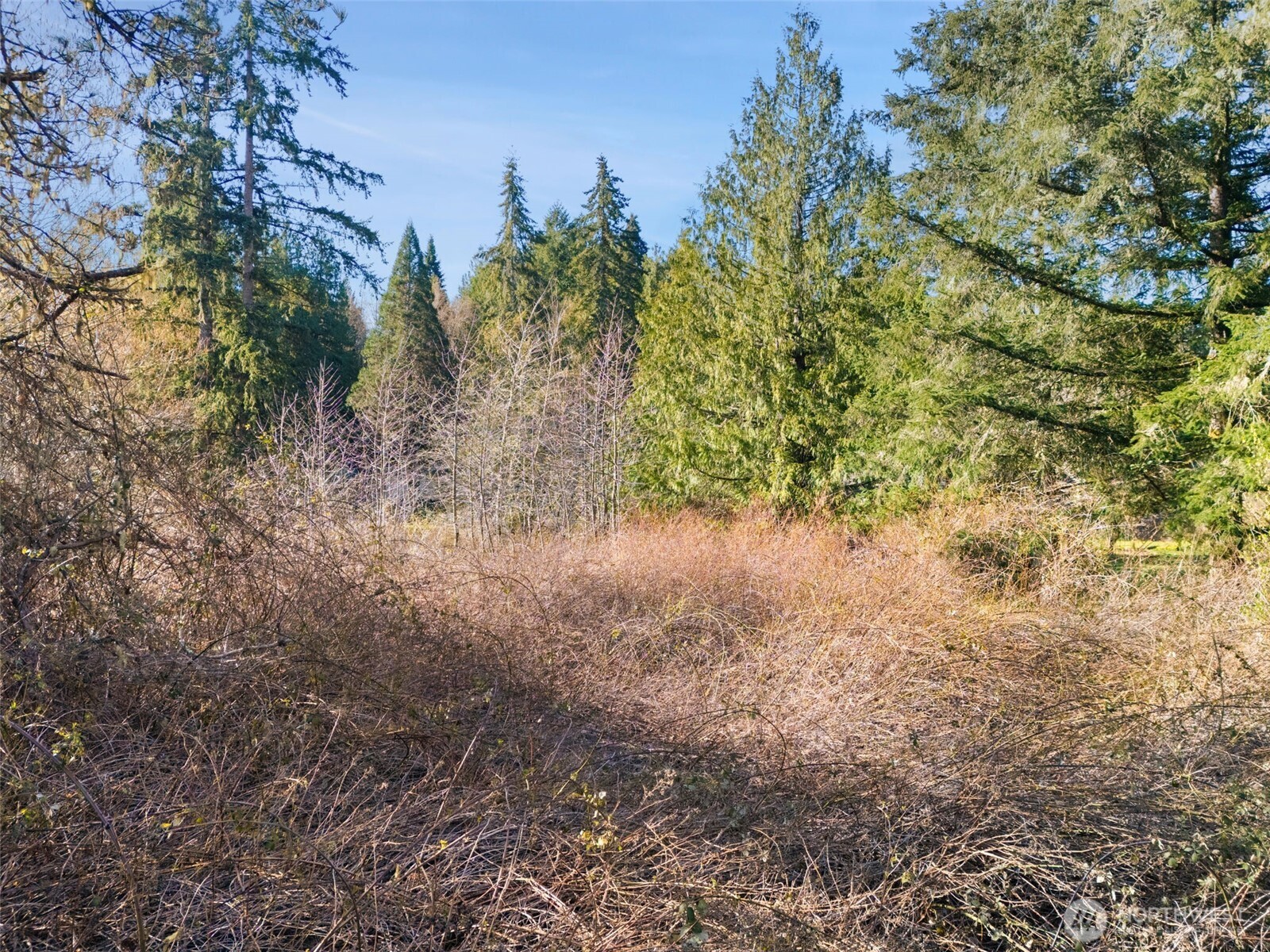0 E Sherwood Creek Road , Allyn, WA 98524