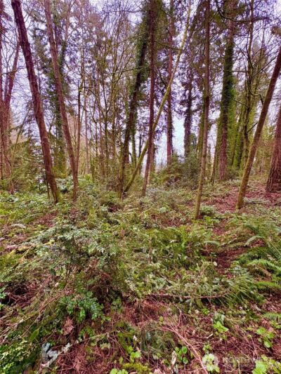 0 SW 230th Street , Vashon, WA 98070