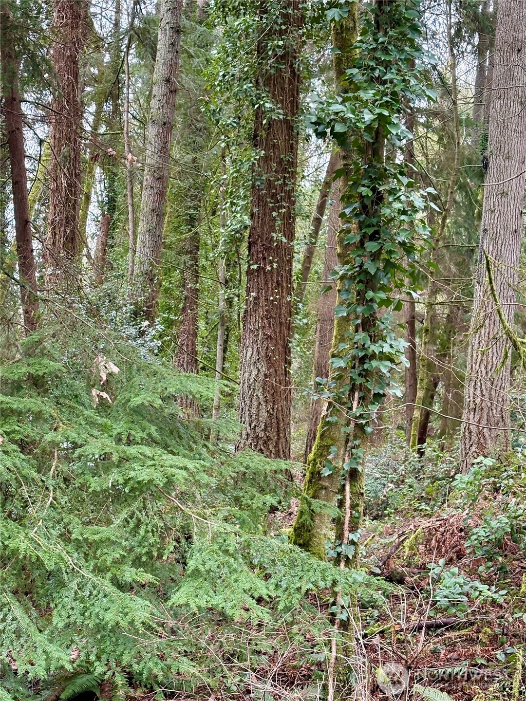 0 SW 230th Street , Vashon, WA 98070