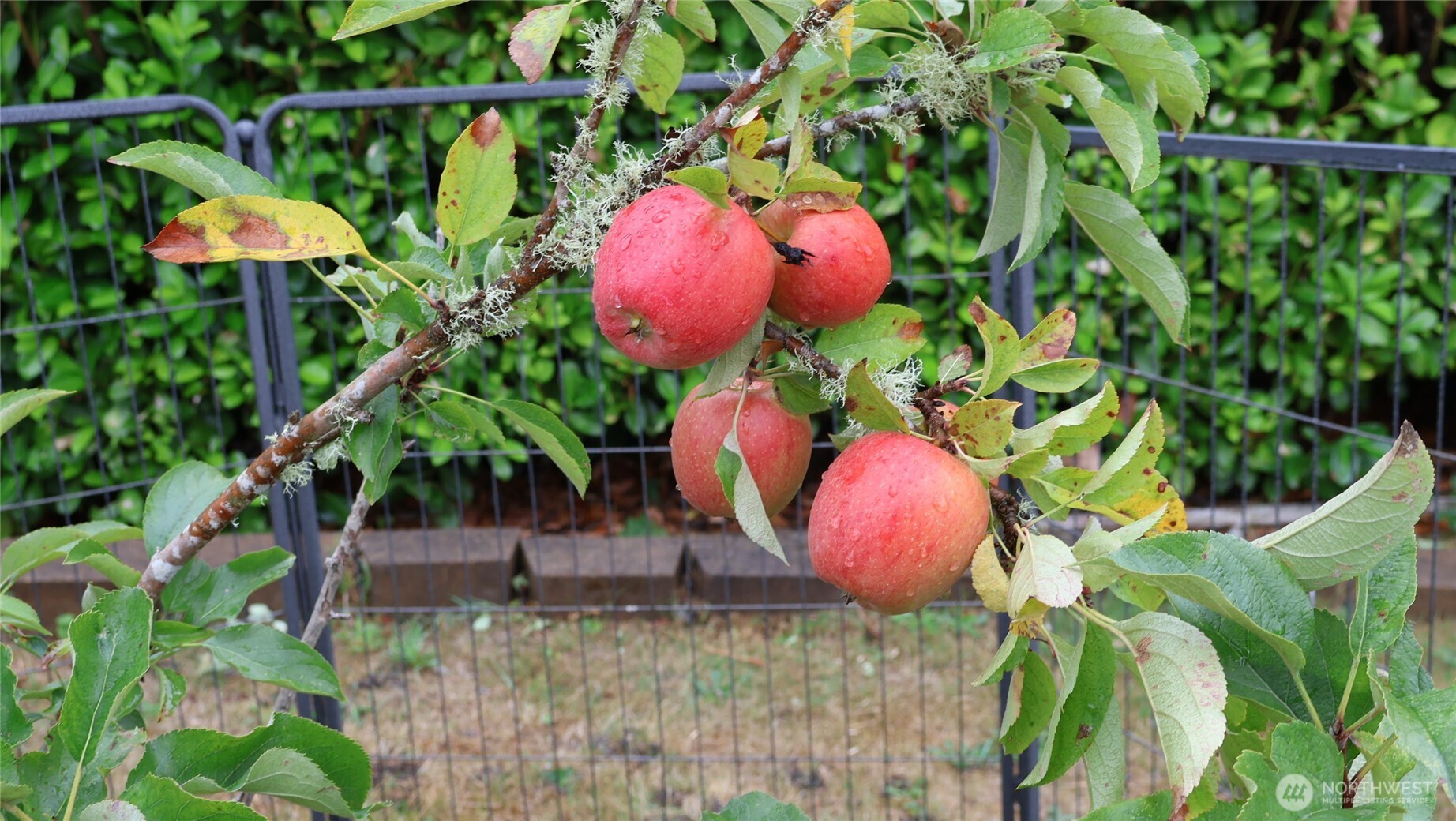 3140 E Washington , Port Orchard, WA 98366