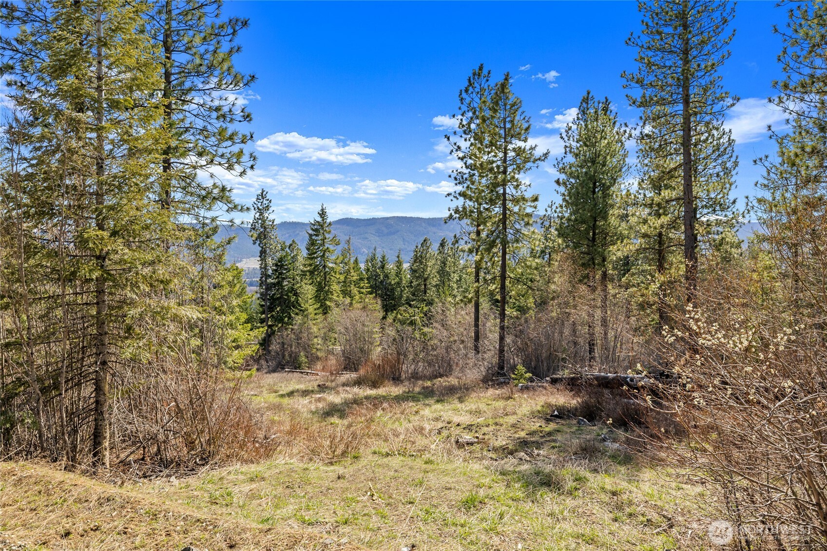 6 Forest Ridge (Lot 6) Drive , Cle Elum, WA 98922