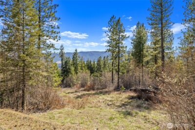 6 Forest Ridge (Lot 6) Drive , Cle Elum, WA 98922 - Photo 1