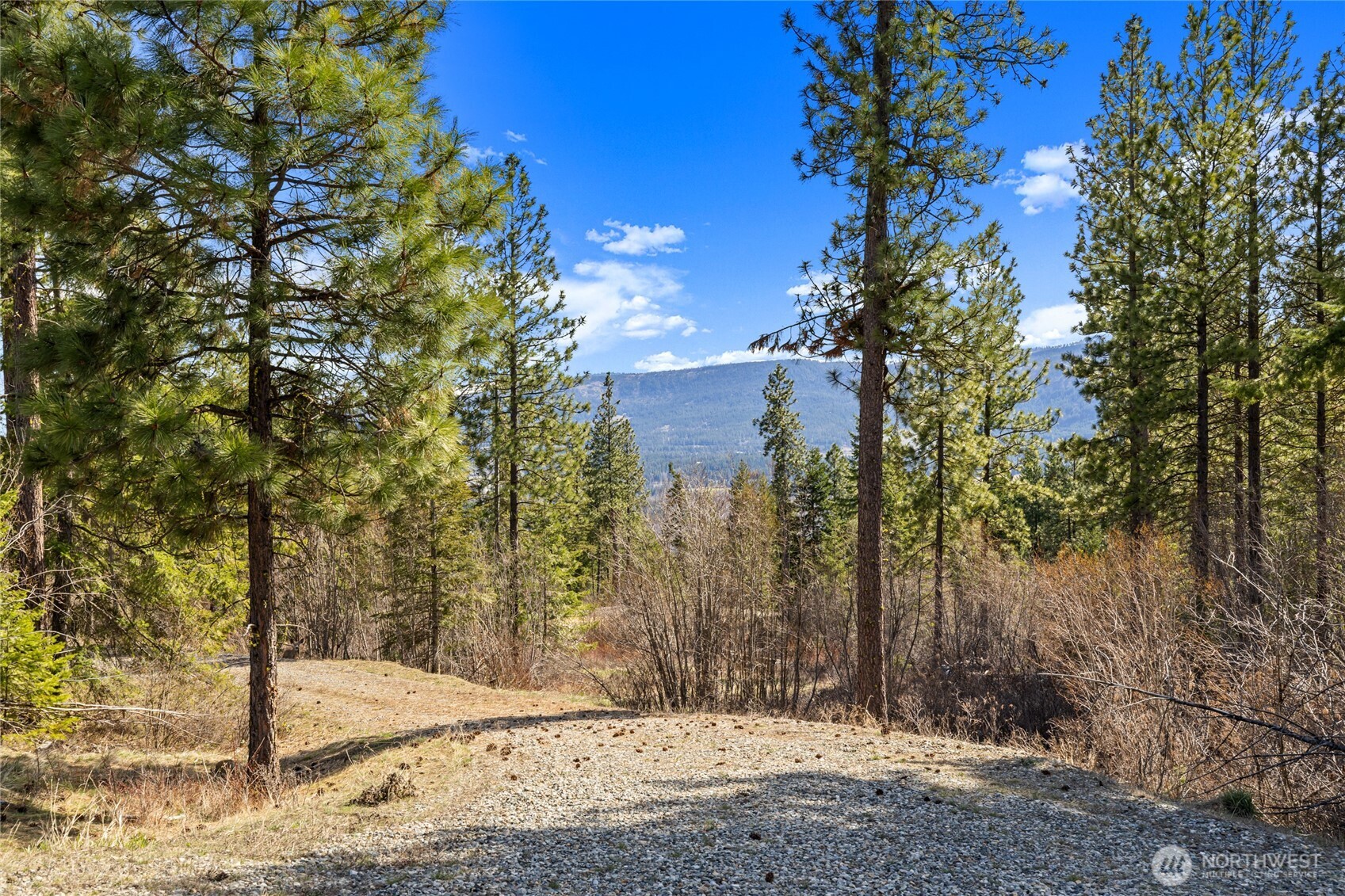 6 Forest Ridge (Lot 6) Drive , Cle Elum, WA 98922
