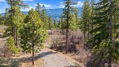 6 Forest Ridge (Lot 6) Drive , Cle Elum, WA 98922 - Photo 12