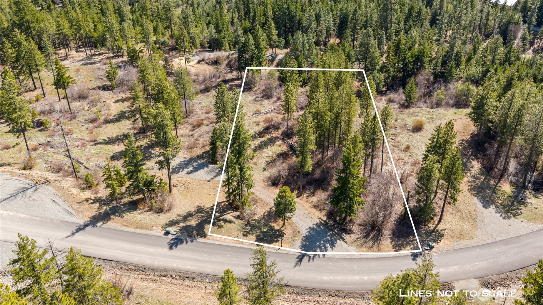 6 Forest Ridge (Lot 6) Drive , Cle Elum, WA 98922