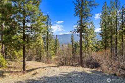 6 Forest Ridge (Lot 6) Drive , Cle Elum, WA 98922 - Photo 2
