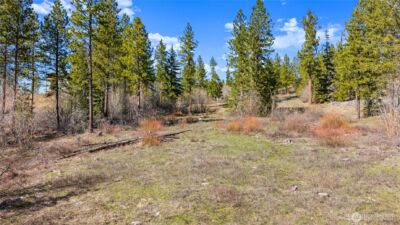 6 Forest Ridge (Lot 6) Drive , Cle Elum, WA 98922 - Photo 28