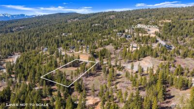 6 Forest Ridge (Lot 6) Drive , Cle Elum, WA 98922 - Photo 4