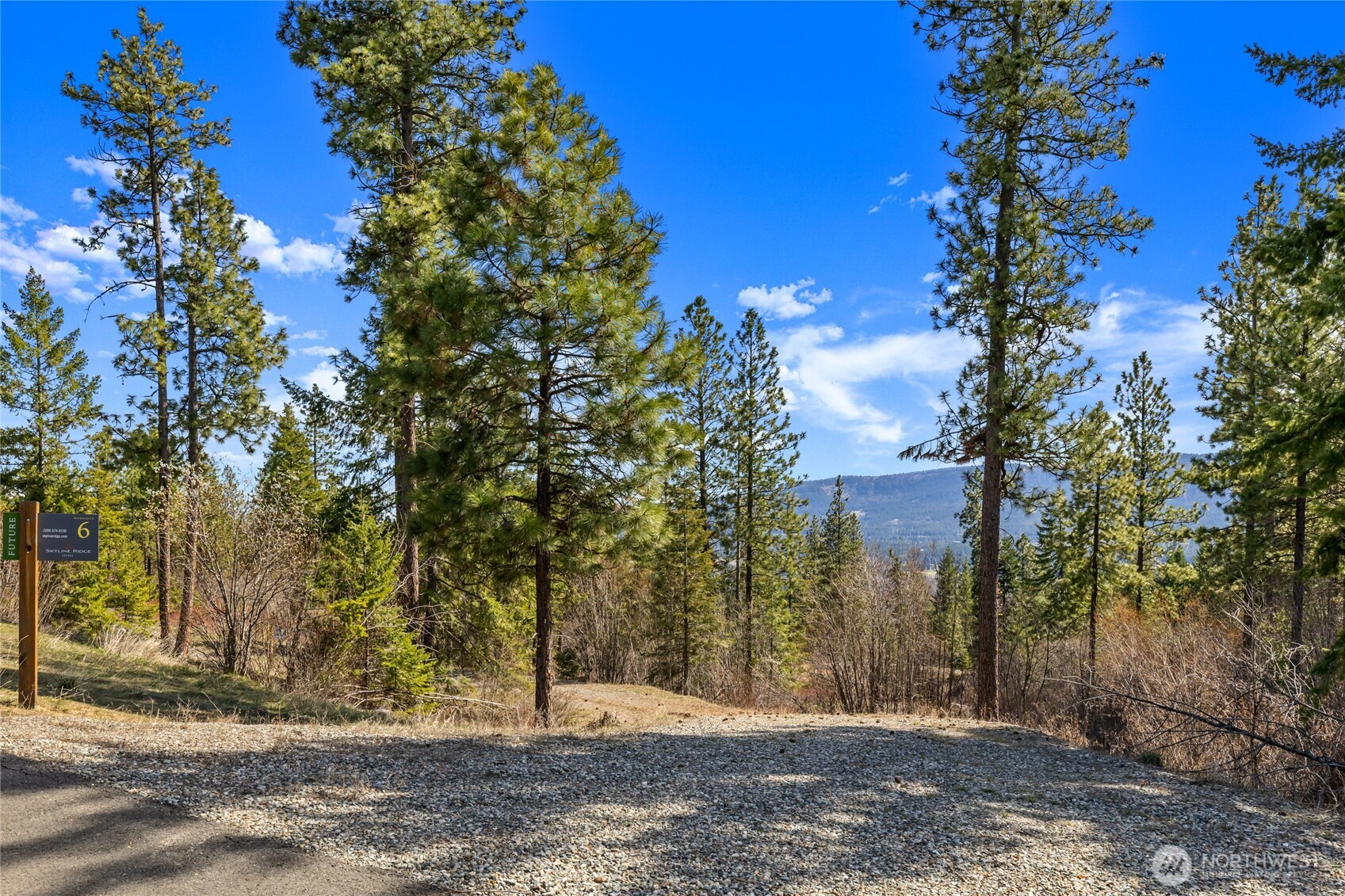 6 Forest Ridge (Lot 6) Drive , Cle Elum, WA 98922