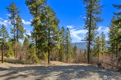 6 Forest Ridge (Lot 6) Drive , Cle Elum, WA 98922 - Photo 8