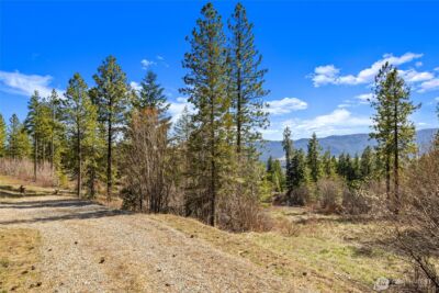 6 Forest Ridge (Lot 6) Drive , Cle Elum, WA 98922 - Photo 9