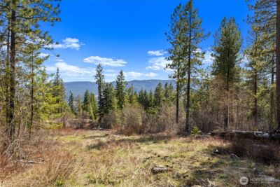 6 Forest Ridge (Lot 6) Drive , Cle Elum, WA 98922 - Photo 10