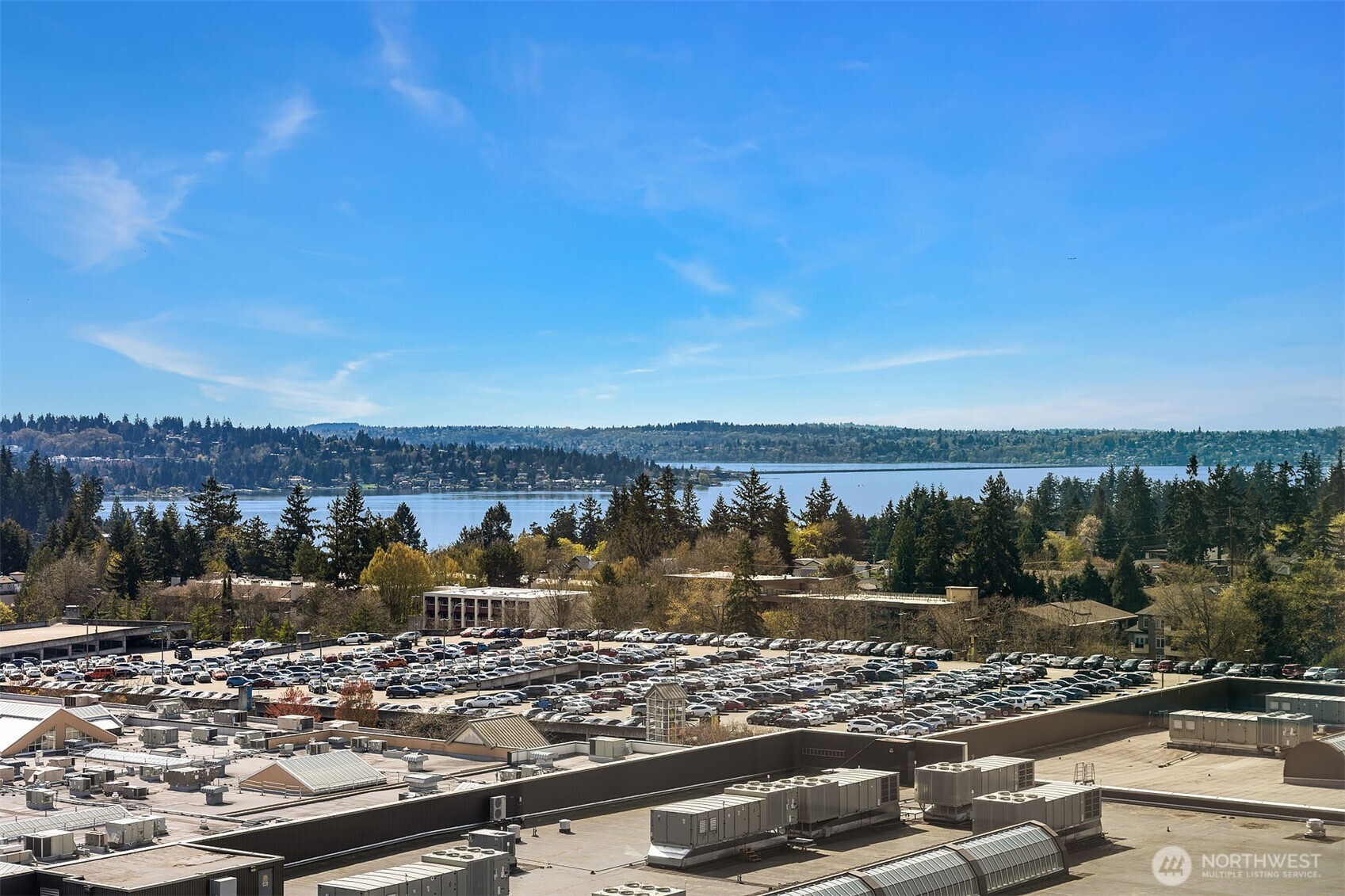 838 Avenue Square NE #1207, Bellevue, WA 98004