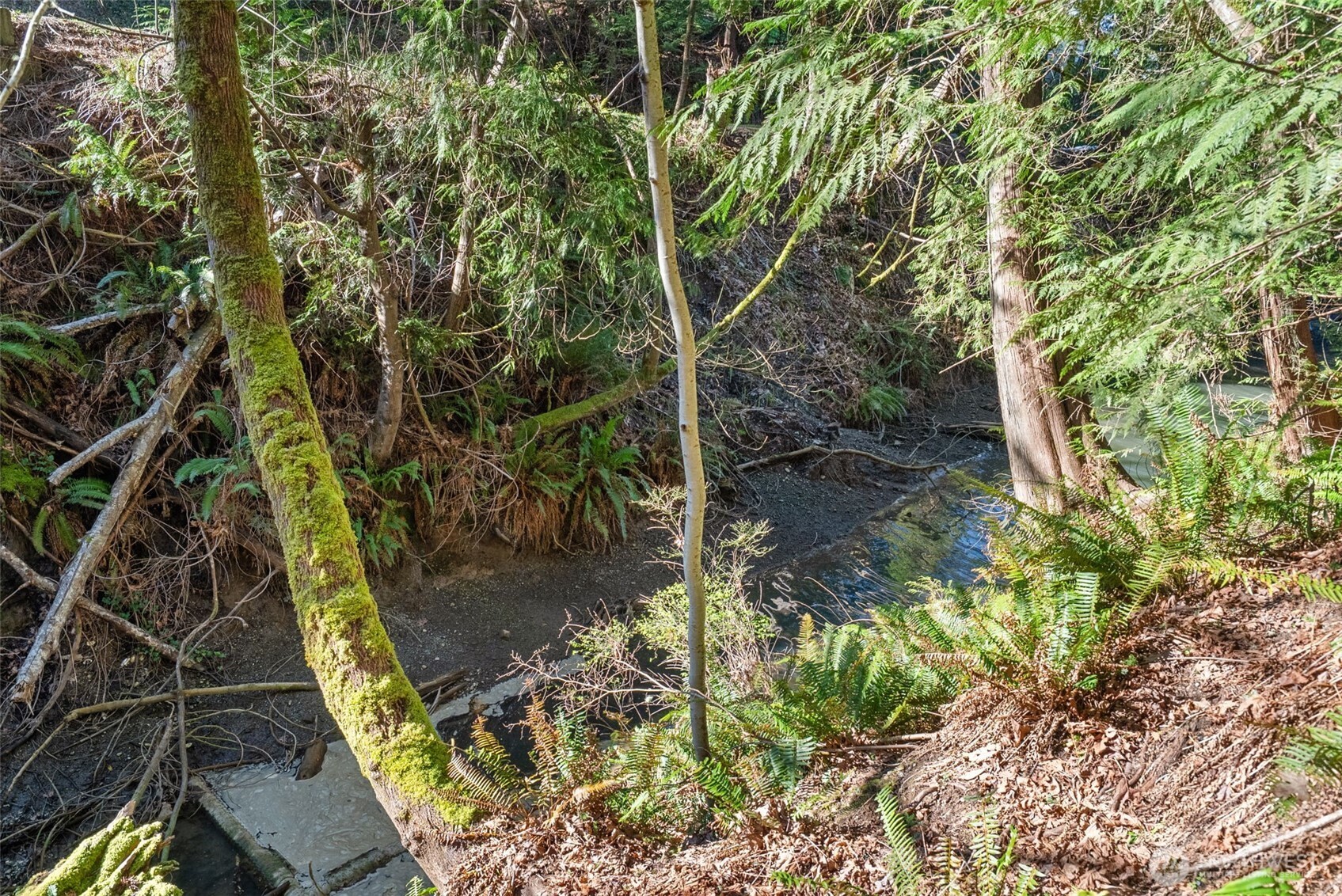 9905 Mariner Drive NW, Olympia, WA 98502