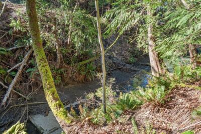 9905 Mariner Drive NW, Olympia, WA 98502 - Photo 18