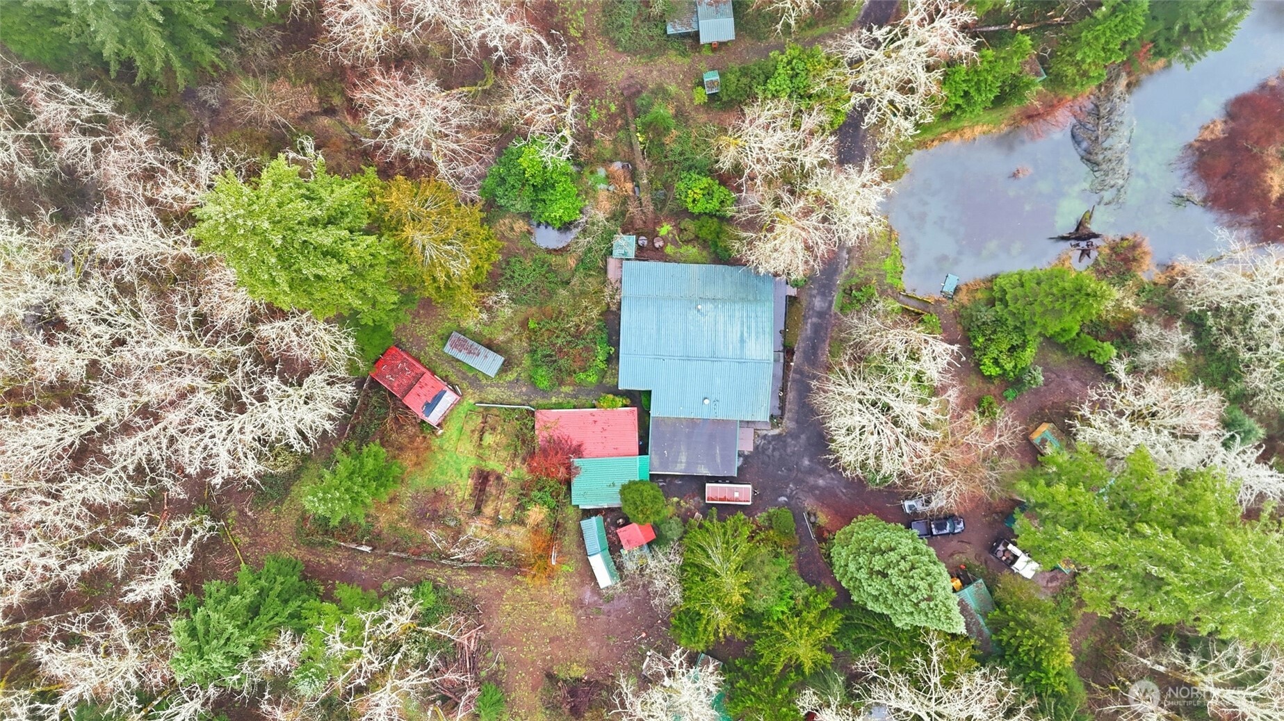 40408 NE Cedar Ridge Road , Amboy, WA 98601