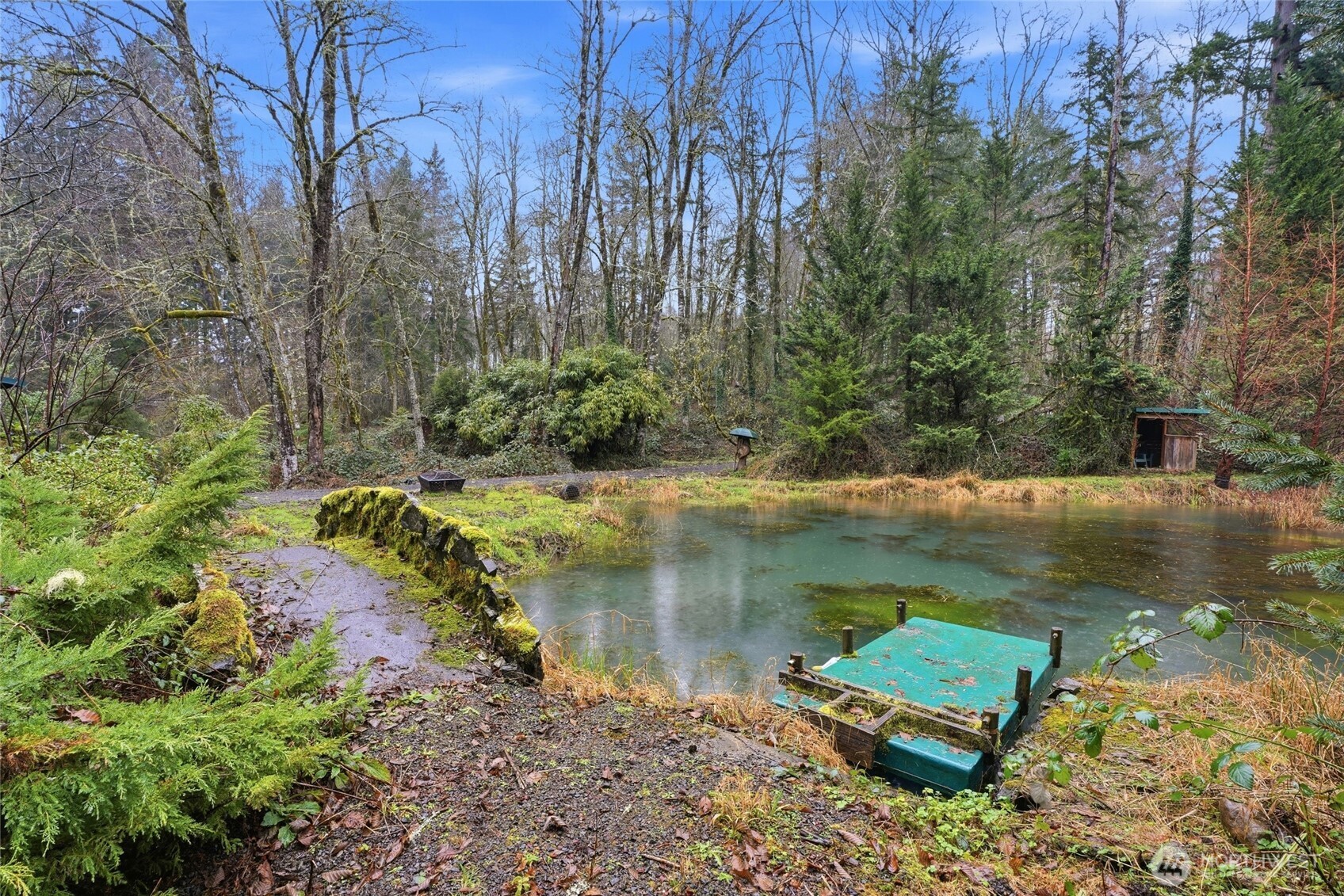 40408 NE Cedar Ridge Road , Amboy, WA 98601