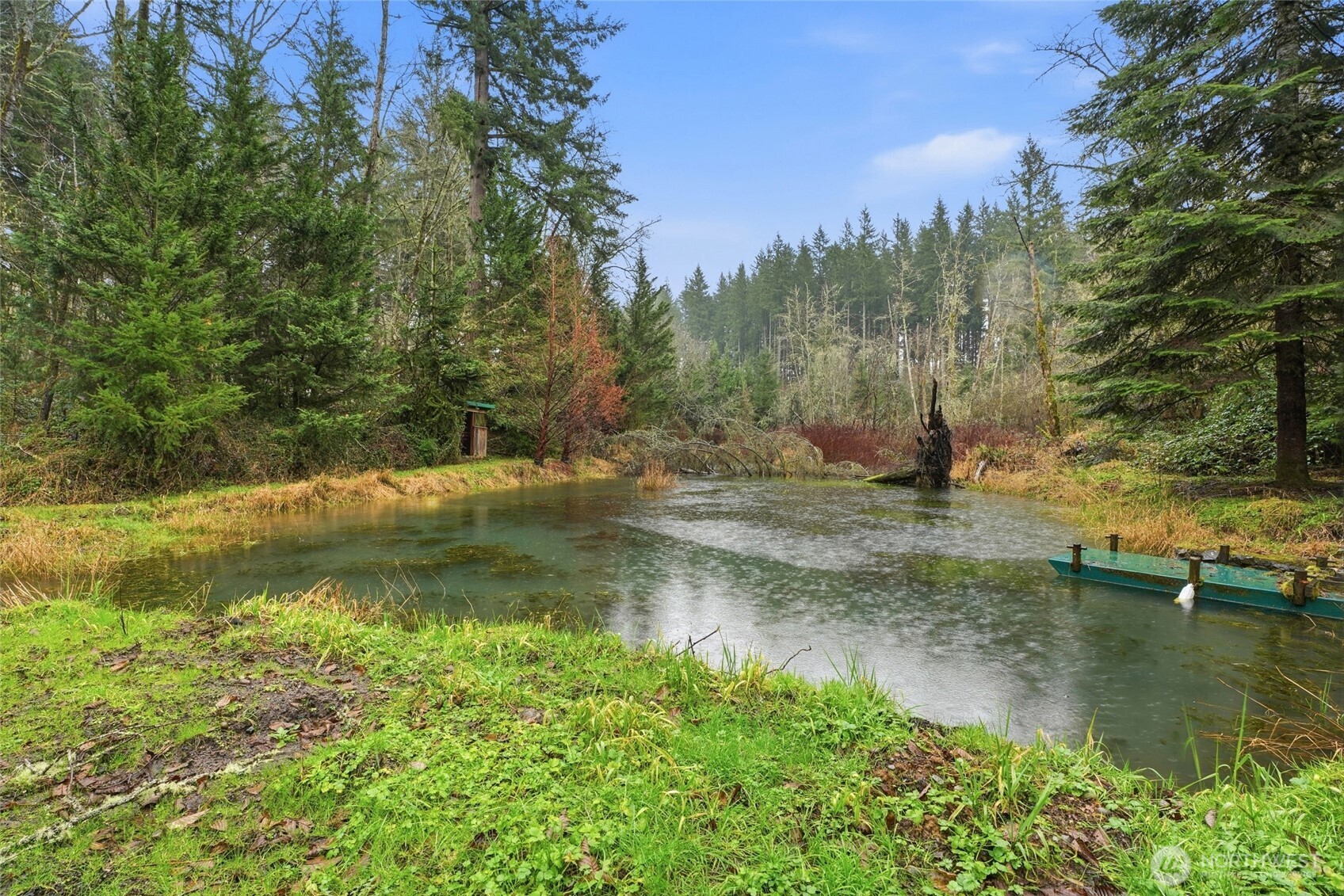 40408 NE Cedar Ridge Road , Amboy, WA 98601