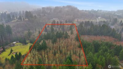 40408 NE Cedar Ridge Road , Amboy, WA 98601 - Photo 38