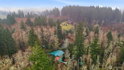 40408 NE Cedar Ridge Road , Amboy, WA 98601 - Photo 40