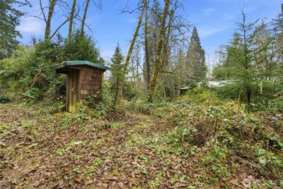 40408 NE Cedar Ridge Road , Amboy, WA 98601 - Photo 7