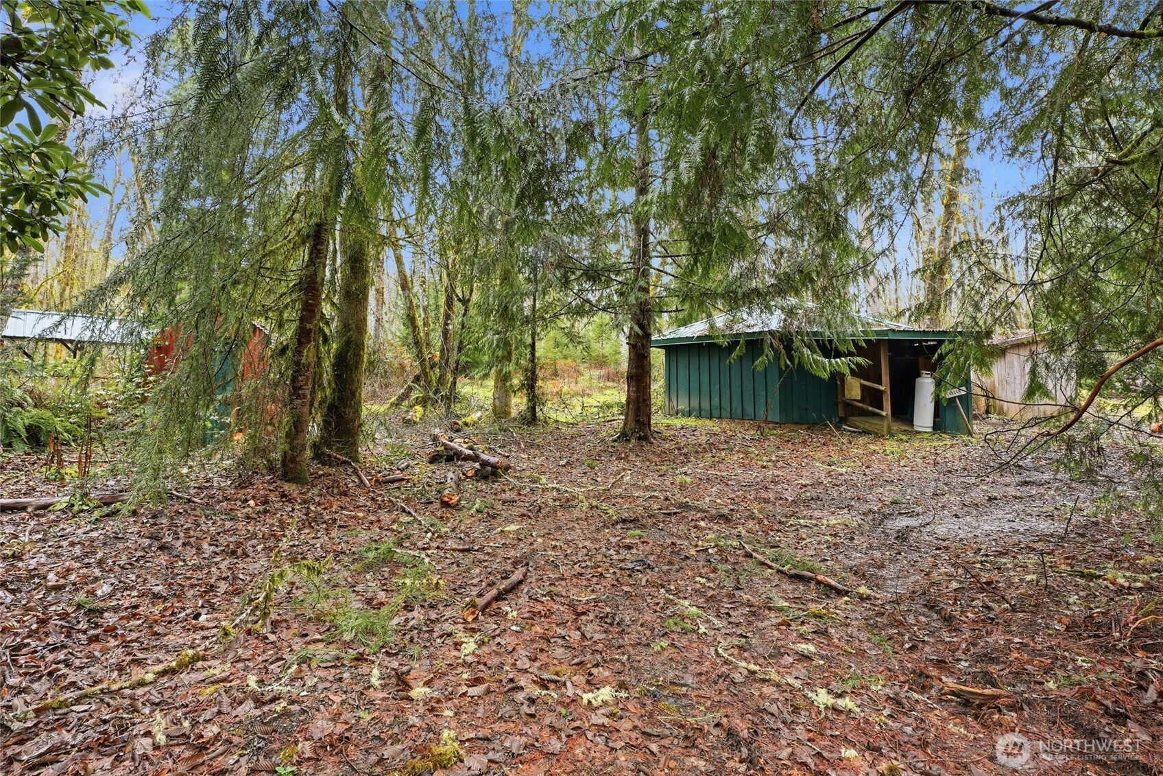 40408 NE Cedar Ridge Road , Amboy, WA 98601