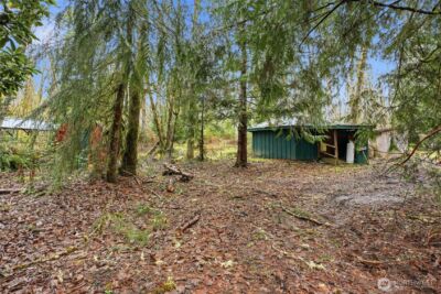 40408 NE Cedar Ridge Road , Amboy, WA 98601 - Photo 8