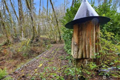 40408 NE Cedar Ridge Road , Amboy, WA 98601 - Photo 10