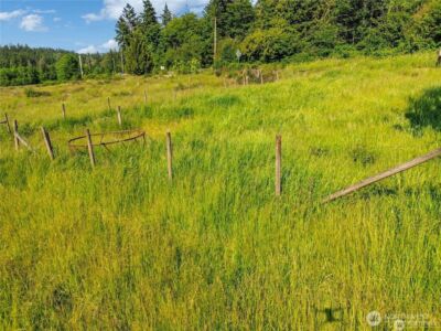 10929 352nd Street E, Eatonville, WA 98328 - Photo 4