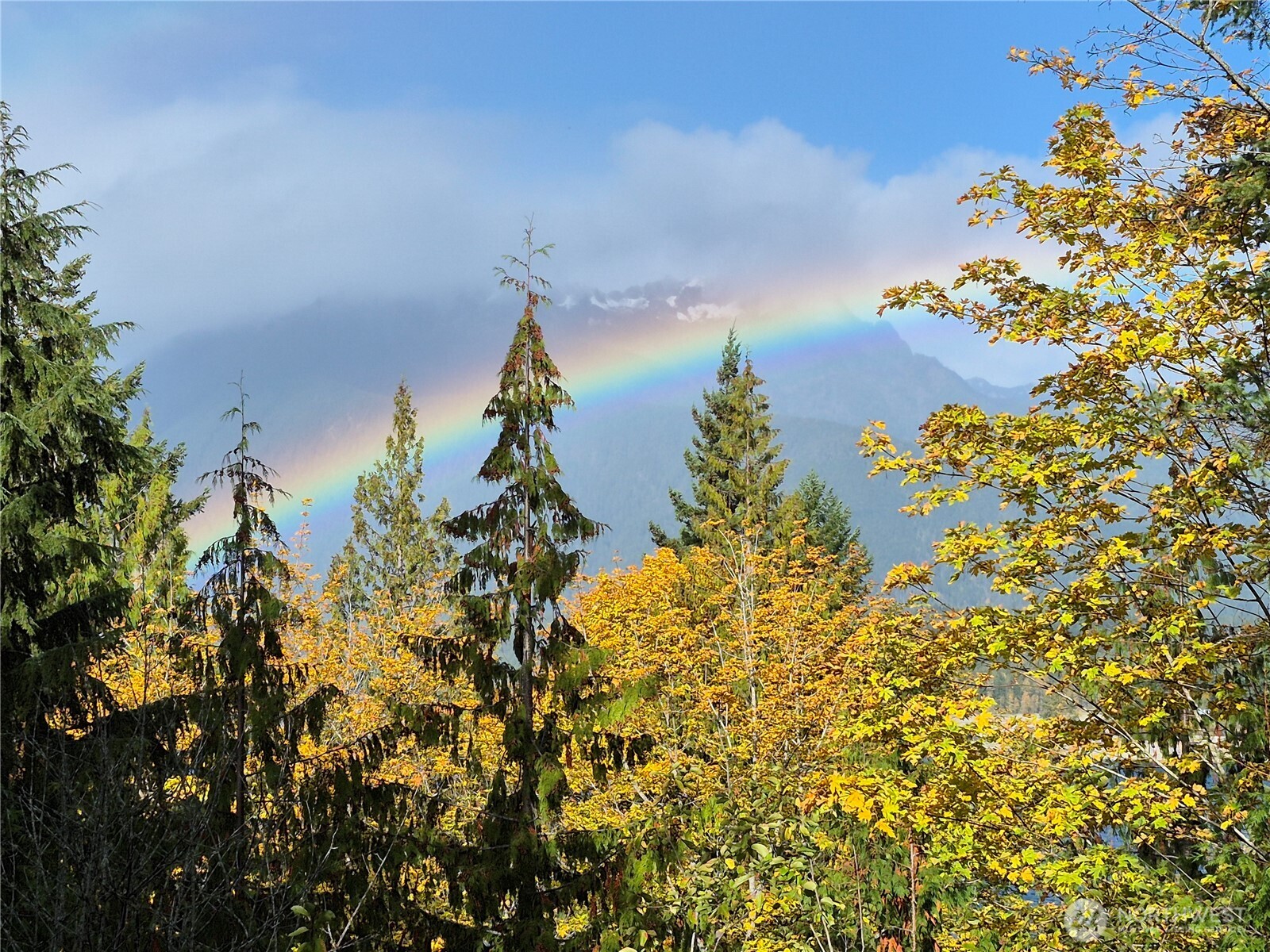 5791 N Lake Cushman Road , Hoodsport, WA 98548