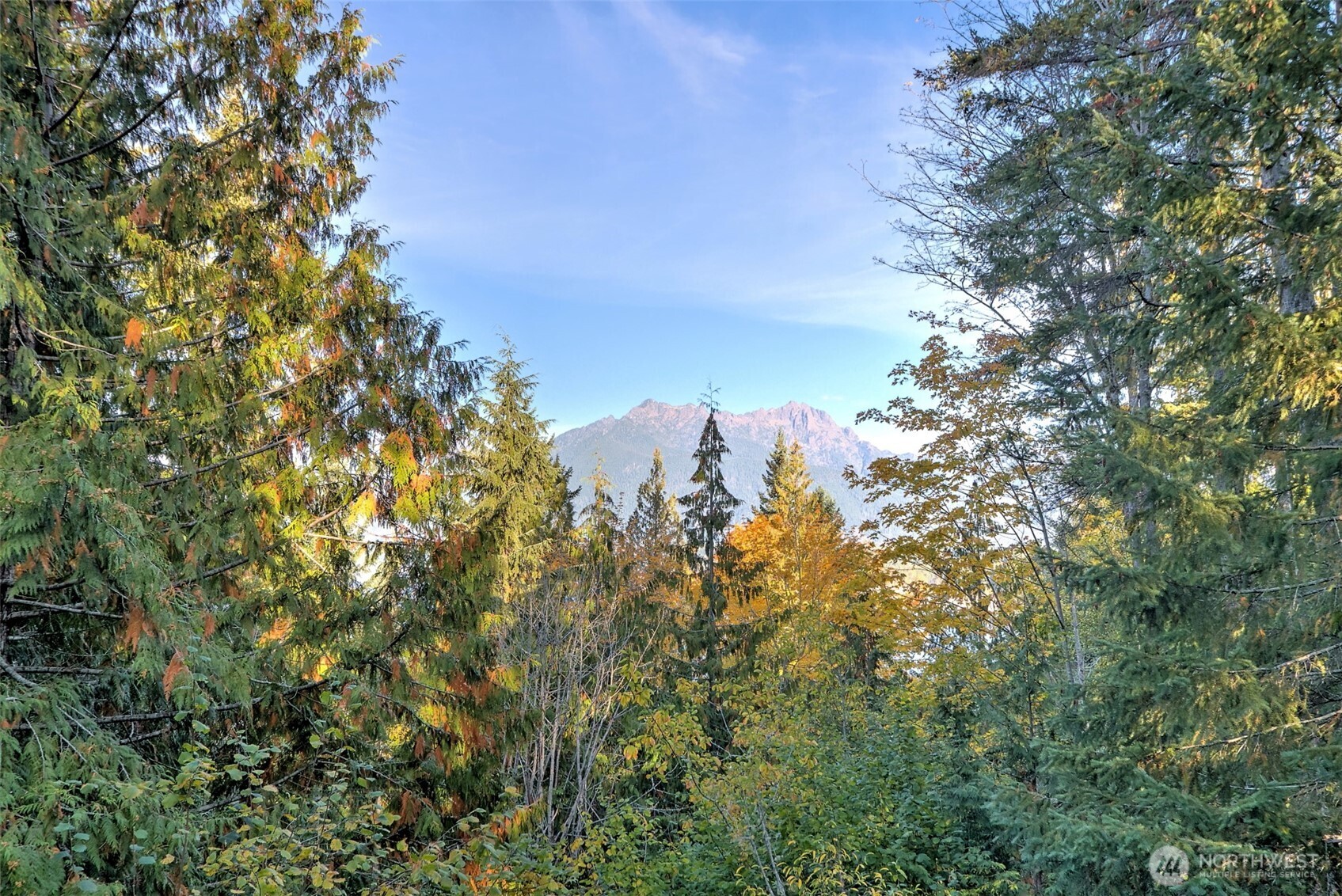 5791 N Lake Cushman Road , Hoodsport, WA 98548