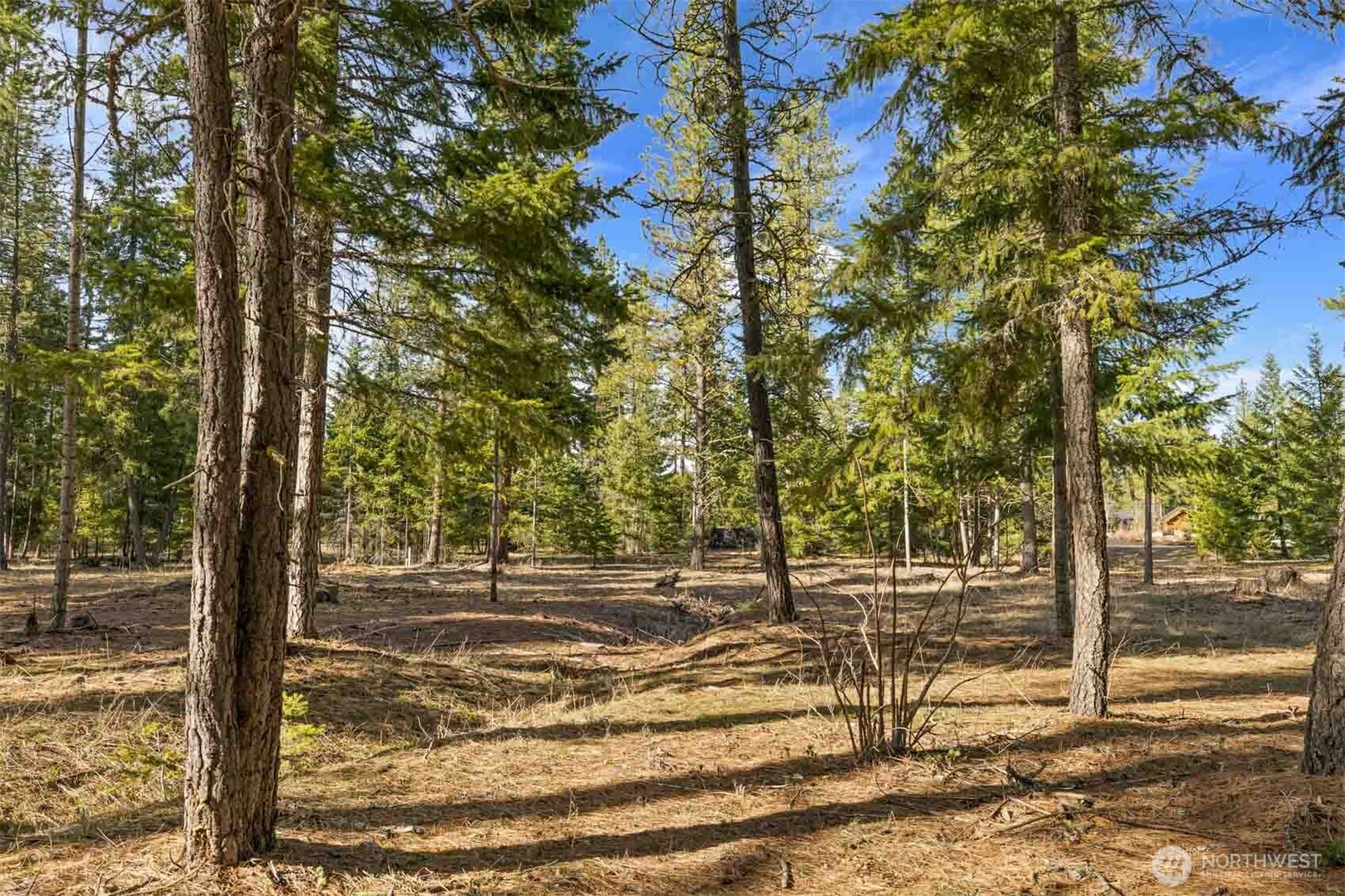 30 Domerie Park Loop , Cle Elum, WA 98922