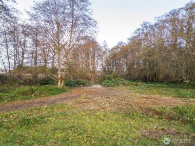 5953 Old Olympic Highway , Sequim, WA 98382 - Photo 13