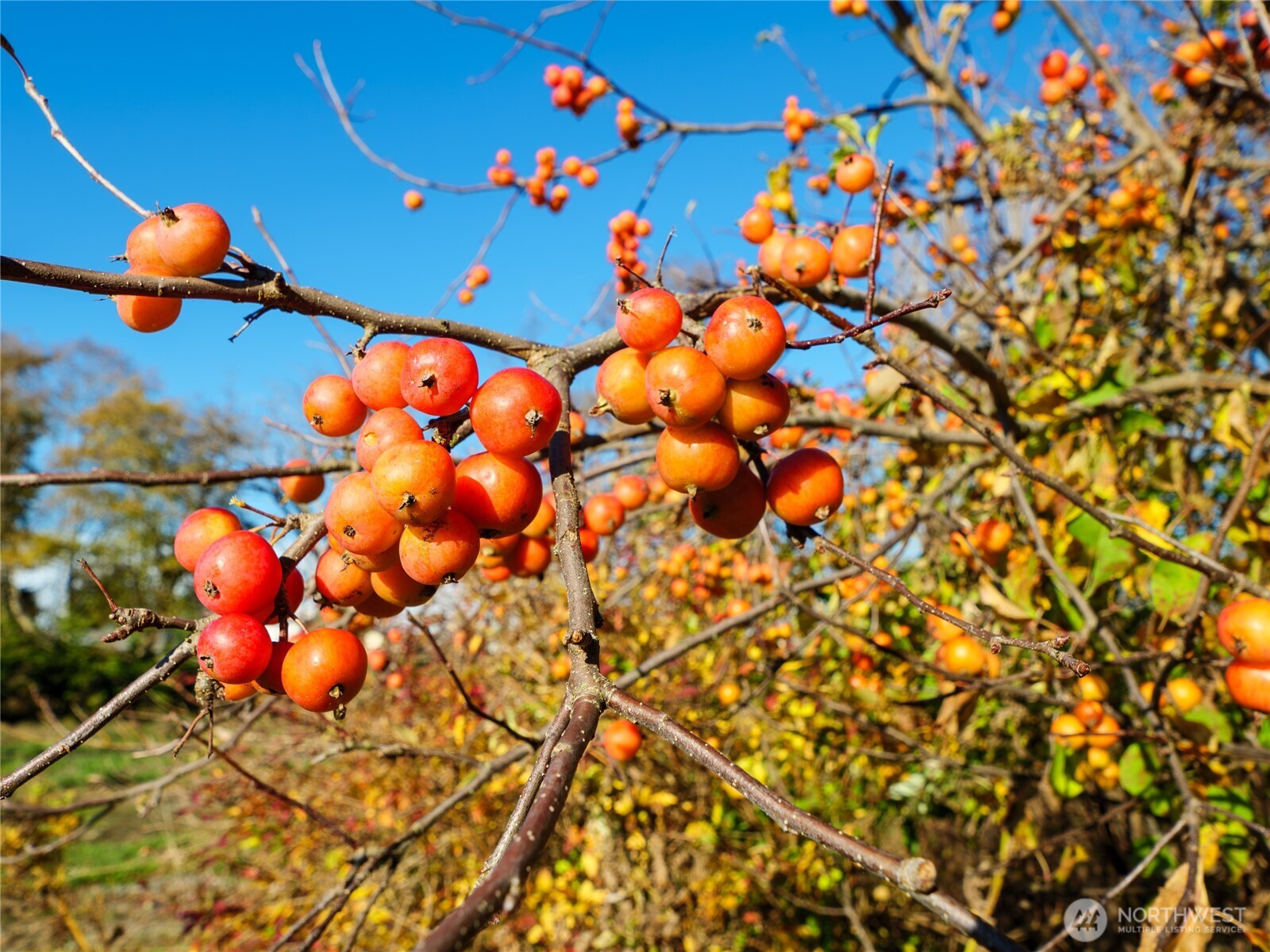 5953 Old Olympic Highway , Sequim, WA 98382