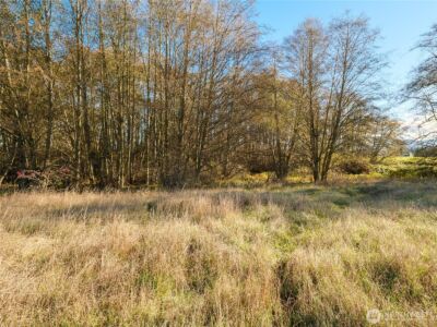 5953 Old Olympic Highway , Sequim, WA 98382 - Photo 33