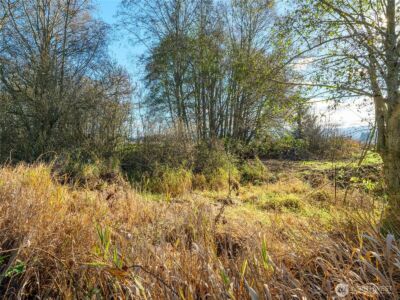 5953 Old Olympic Highway , Sequim, WA 98382 - Photo 34