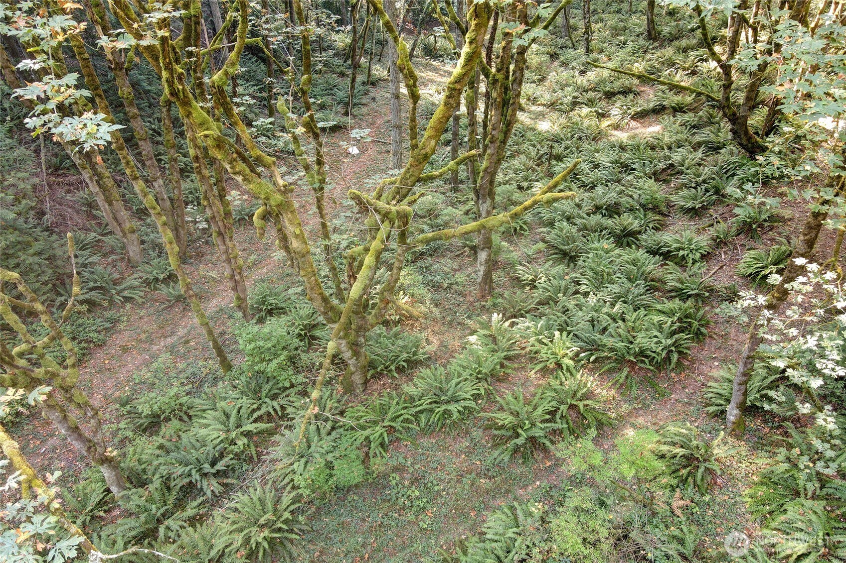 37 XXX SE 212th Way , Sammamish, WA 98075