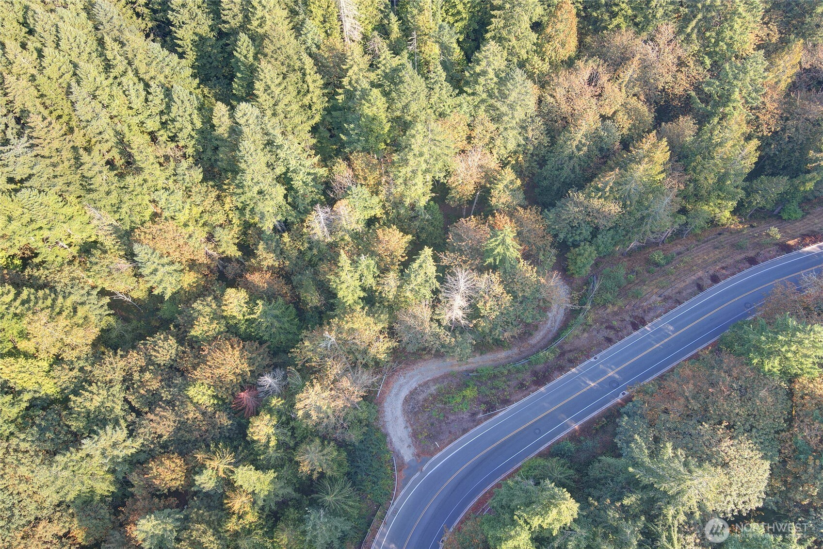 37 XXX SE 212th Way , Sammamish, WA 98075