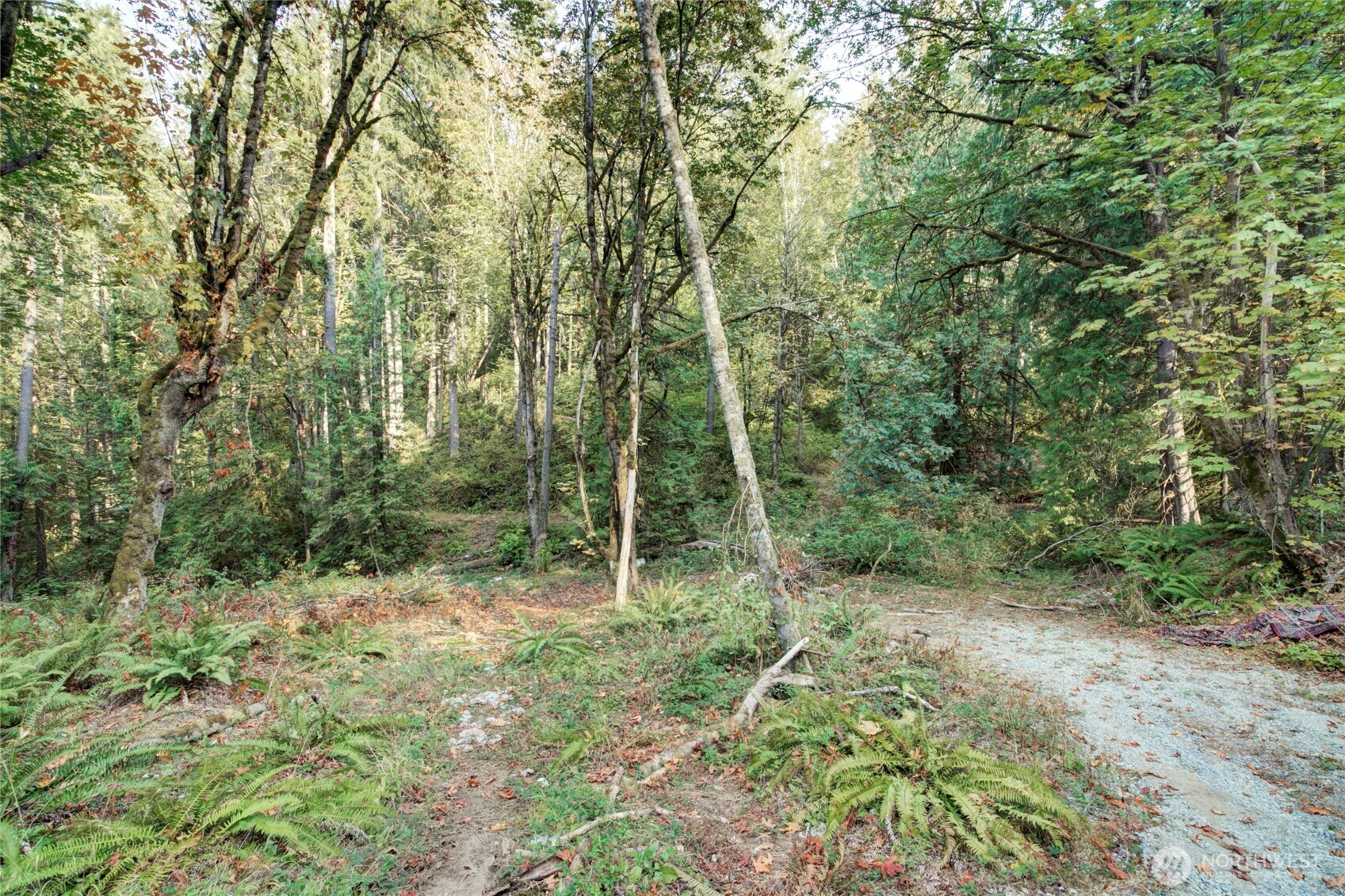 37 XXX SE 212th Way , Sammamish, WA 98075