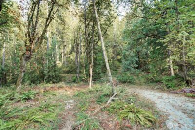 37 XXX SE 212th Way , Sammamish, WA 98075 - Photo 17