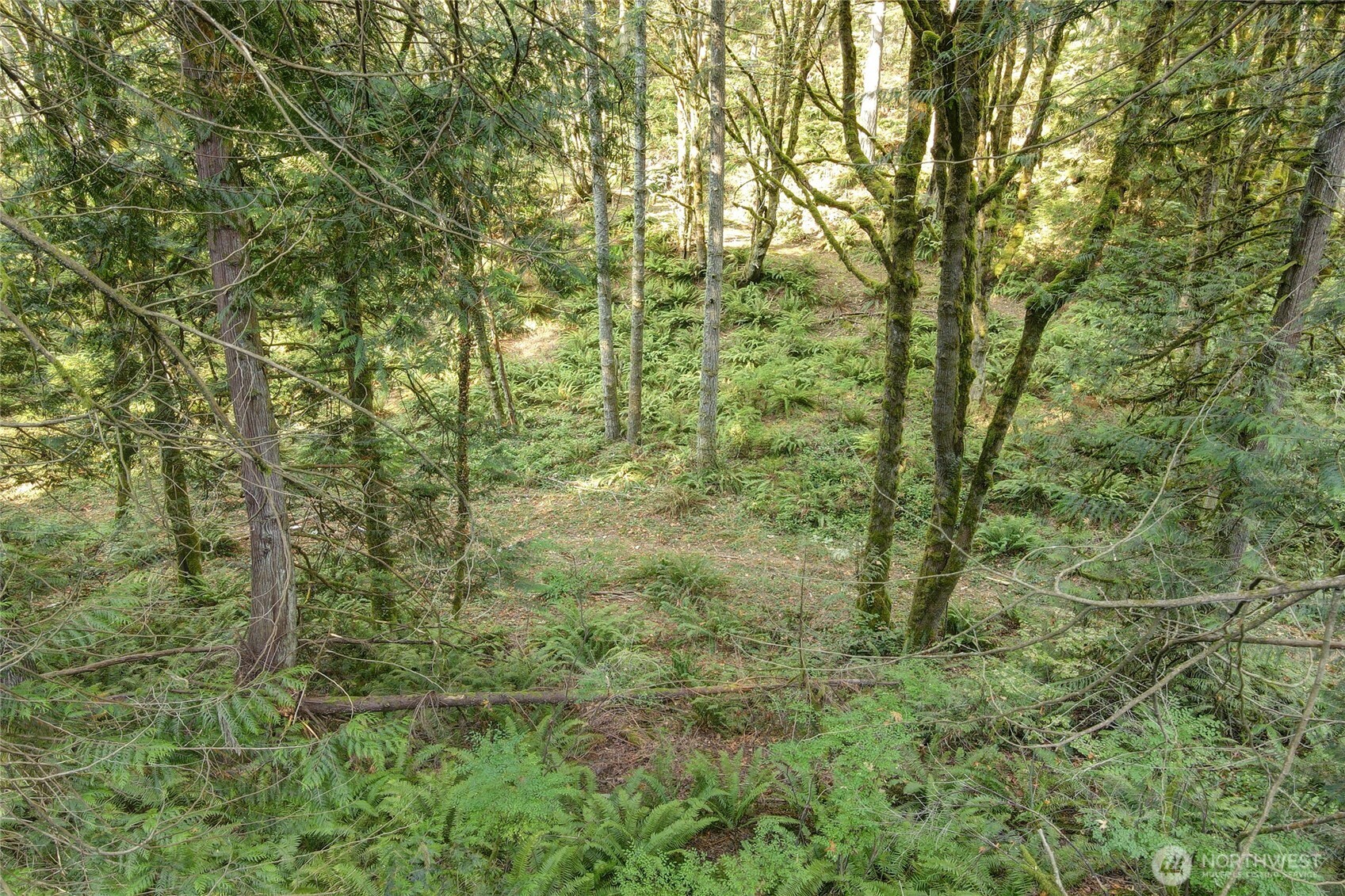 37 XXX SE 212th Way , Sammamish, WA 98075