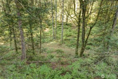 37 XXX SE 212th Way , Sammamish, WA 98075 - Photo 18