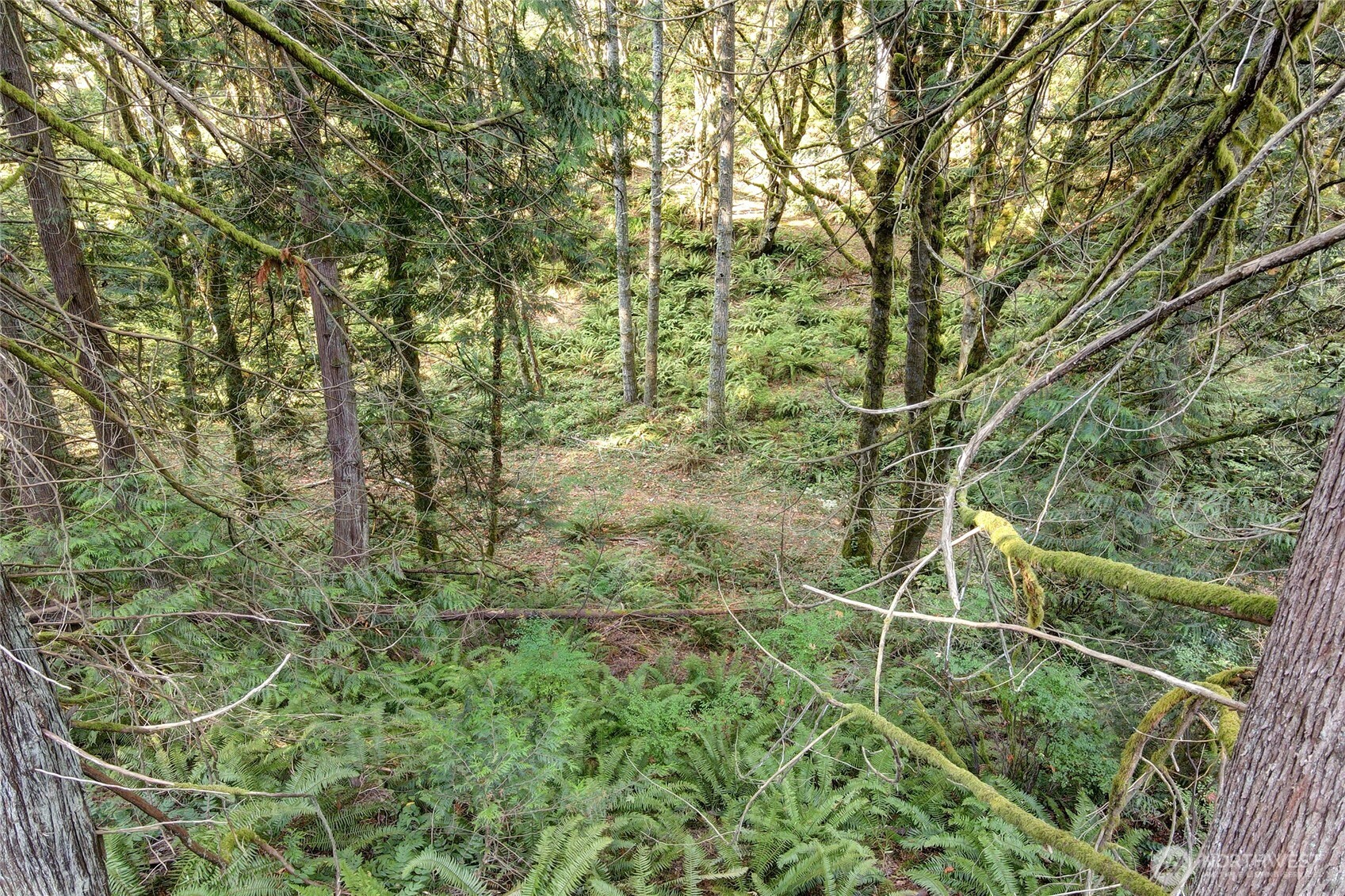 37 XXX SE 212th Way , Sammamish, WA 98075